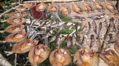 Pazardaki kuru balık.