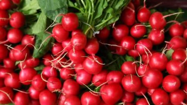 Hint Tıbbı Meyve Yakın plan