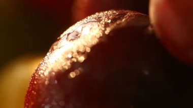 Kâsedeki farklı Hint meyveleri.