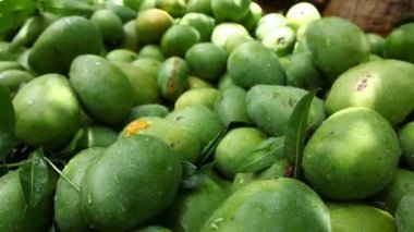 Sepette yeşil mango