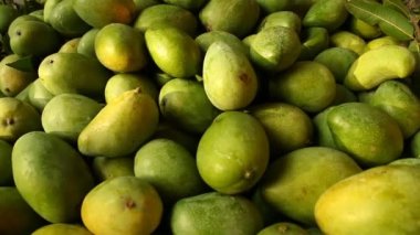 Sepette yeşil mango