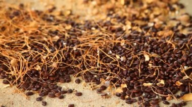Köyde Raw Tamarind
