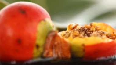 Ağaçtaki Hint İlaçlı Meyveleri