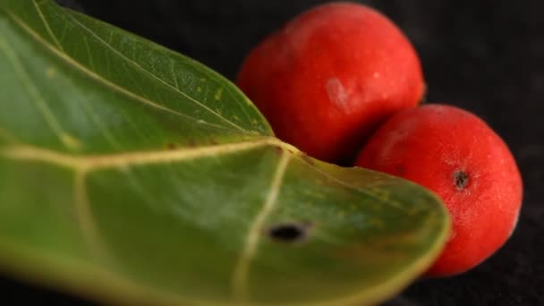 Indian Medicated Fruit Een Boom — Stockvideo
