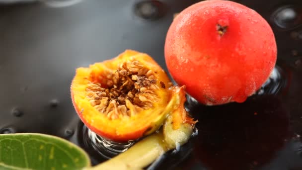 Frutas Medicadas Indianas Uma Árvore — Vídeo de Stock