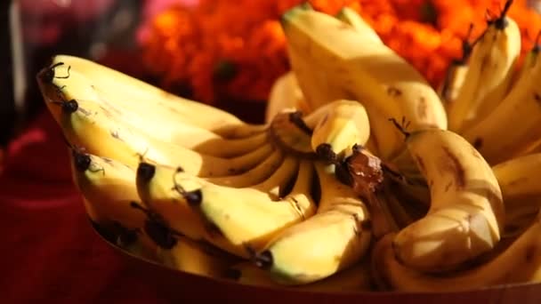 Banány Hinduistické Modlitbě — Stock video