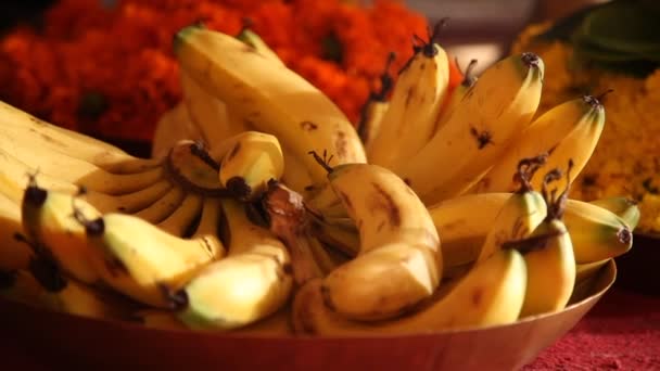Bananas Hindu Prayer — Stock Video