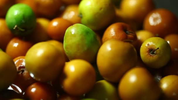 Owoce Indyjskie Jujubes Zbliżenie — Wideo stockowe
