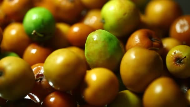 Indian Medicated Fruit Closeup — Stok Video