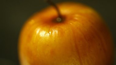 Hint Tıbbı Meyve Yakın plan