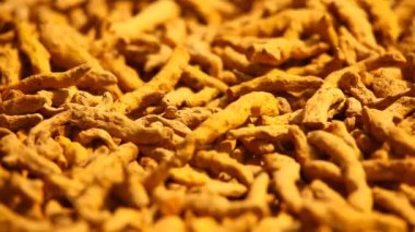 Köy 'de ham zerdeçal