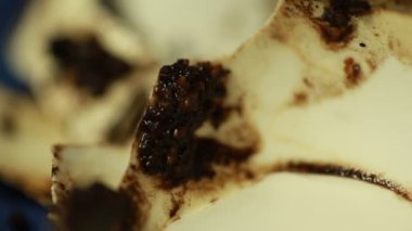 Tatlı Hindistan 'a yakın durun.