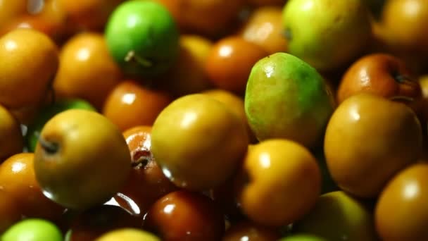 Indian Fruits Jujubes Closeup — Stock Video
