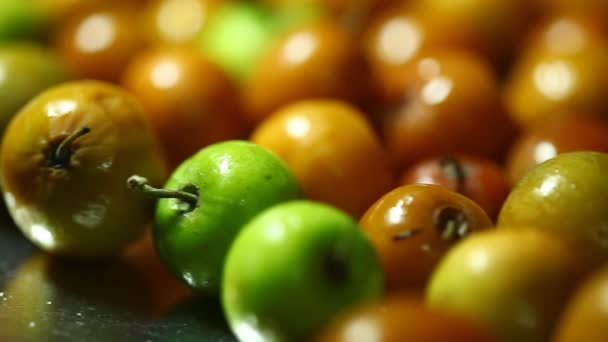 인도의 열매가 응고를 촉진하다 — 비디오