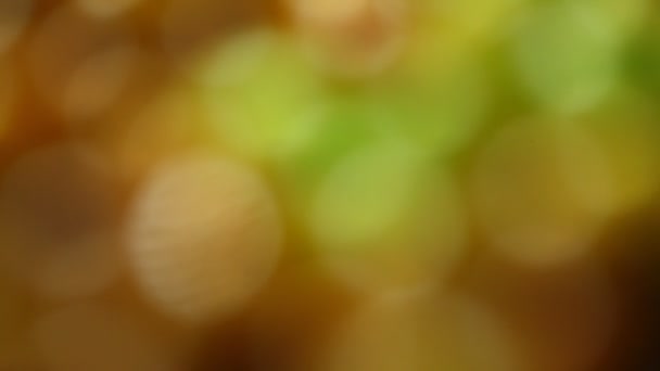 Abstract Blur Background Macro Shot — Stock Video