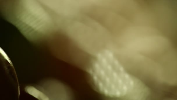 Аннотация Blur Background Macro Shot — стоковое видео