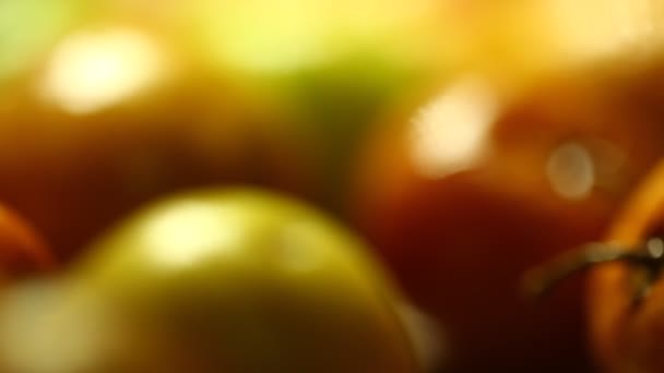Giuggiole Frutta Indiana Primo Piano — Video Stock