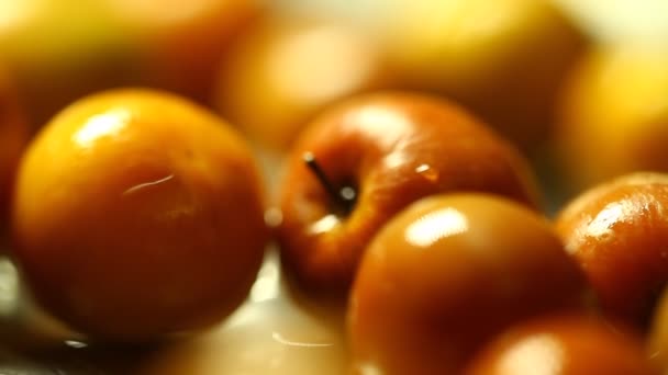 Ινδικά Φρούτα Jujubes Κοντινό Πλάνο — Αρχείο Βίντεο