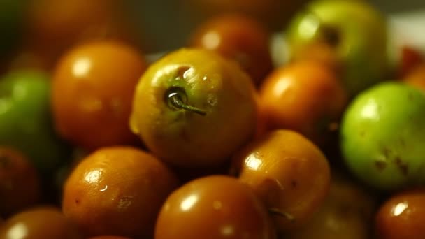 Jujubes Frutas Indias Primer Plano — Vídeo de stock