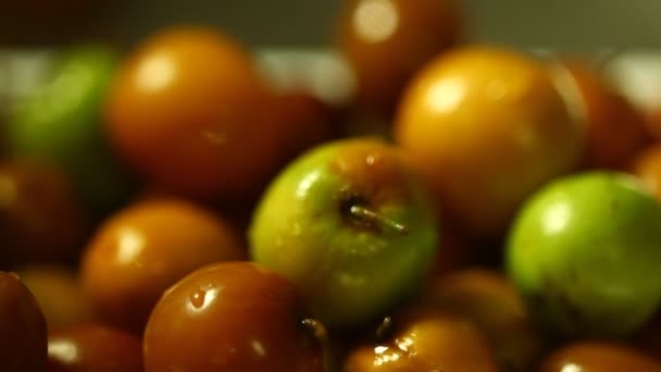 Giuggiole Frutta Indiana Primo Piano — Video Stock