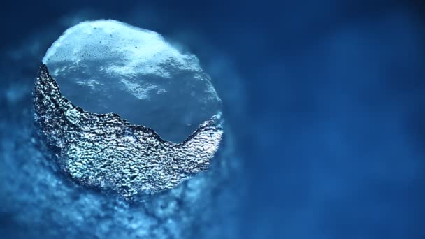 Makroaufnahme Von Eis Mondlicht — Stockvideo