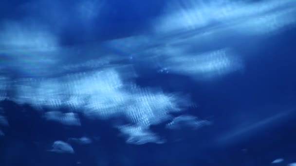 Макроснимок Текстуры Льда — стоковое видео
