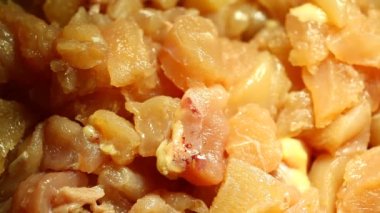 Bitkisel olmayan deniz ürünleri üretimi