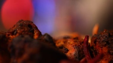 Olmayan vejetaryen yemek tavuk