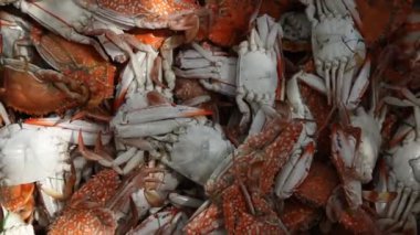 Yengeçleri kapatın.