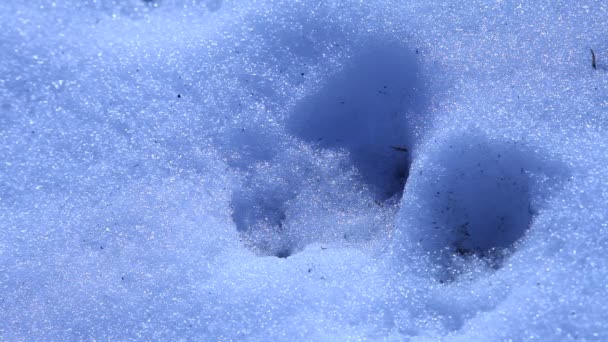 大冰块的拍摄 — 图库视频影像