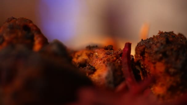 非ベジタリアン料理鶏 — ストック動画