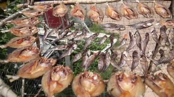 Making Non Vegetation Sea Food — Stock Video