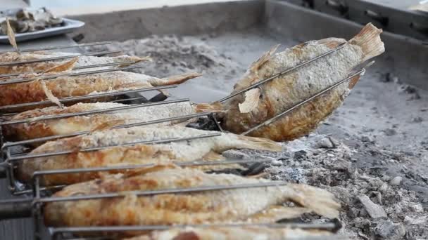 Fabricación Alimentos Mar Vegetarianos — Vídeo de stock