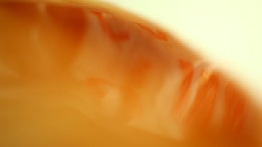 Bulanık arkaplan Makro görüntüsü