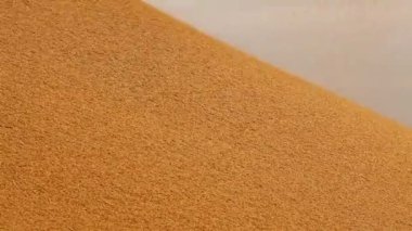 Pirinç değirmeninde çeltik tohumları