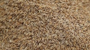 Pirinç değirmeninde çeltik tohumları