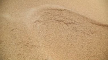 Pirinç değirmeninde çeltik tohumları