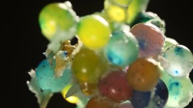 Jel tatlılarını kapatın.