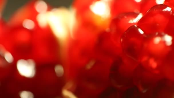 Pomegranate Seeds Close — Stock Video
