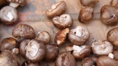 Bir Mantarın Yakın Çekimi