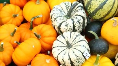 Evde sebzeler kapanıyor.