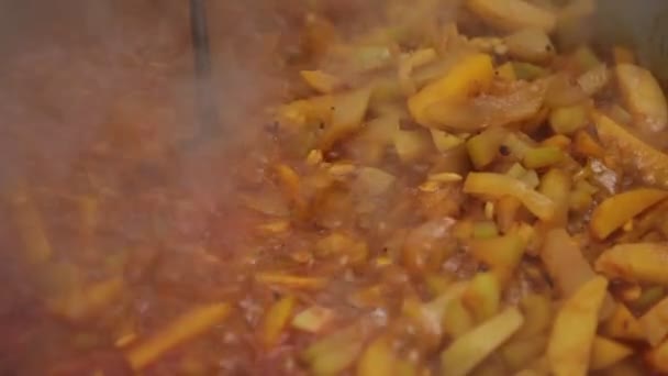 印度素食的制作 — 图库视频影像
