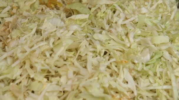 Indická Zeleninová Snídaně Občerstvení — Stock video