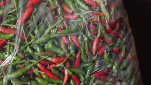 Zielone Czerwone Chili Makro Shot — Wideo stockowe