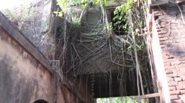 Hindistan 'daki eski binanın dehşet verici görüntüsü.