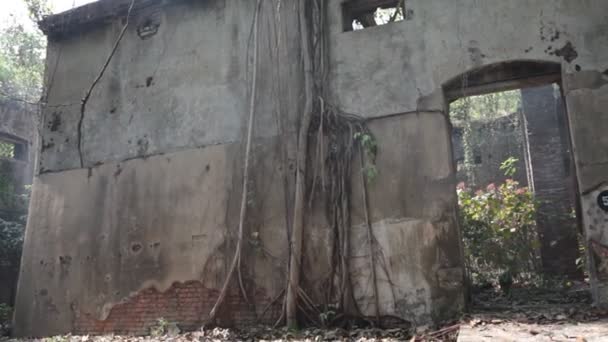 Foto Horror Del Viejo Edificio India — Vídeos de Stock