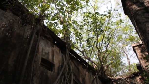 Foto Horror Del Viejo Edificio India — Vídeo de stock