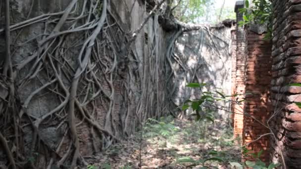Horror Shot Van Het Oude Gebouw India — Stockvideo
