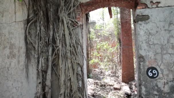 Foto Dell Orrore Del Vecchio Edificio India — Video Stock