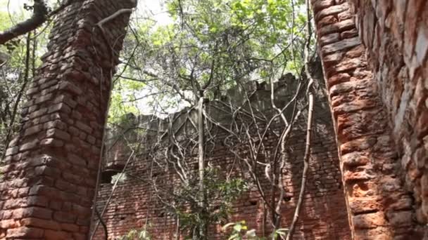 Horreur Prise Vue Ancien Bâtiment Inde — Video